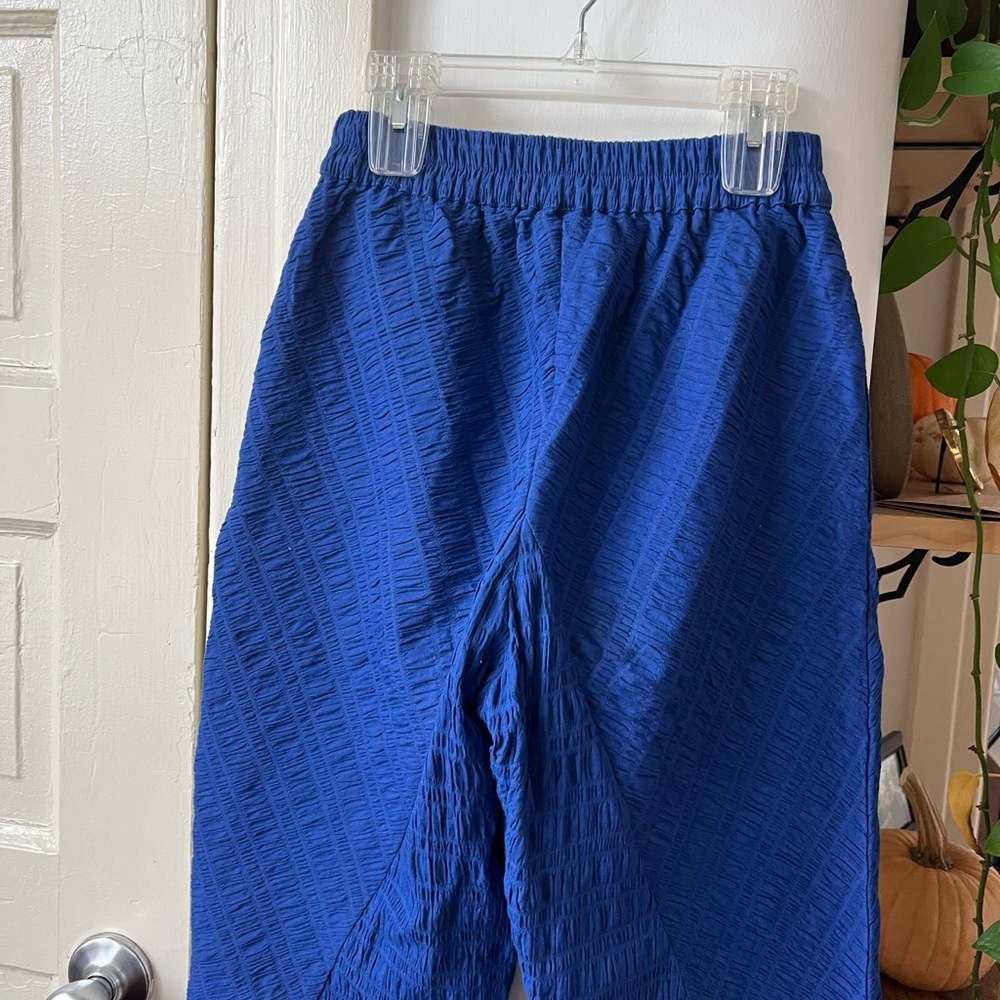 Nikki Chasin Cobalt Blue Angle Pant - High Waist, Tapered Elastic Waist - Picture 5 of 7